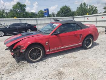  Salvage Ford Mustang