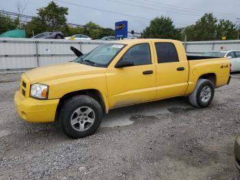  Salvage Dodge Dakota