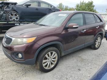  Salvage Kia Sorento