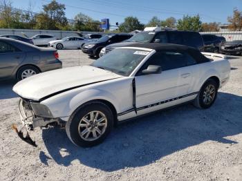  Salvage Ford Mustang