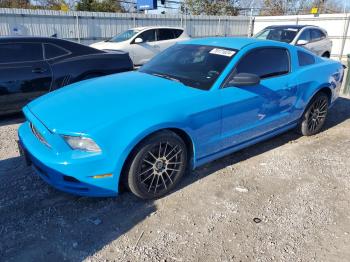  Salvage Ford Mustang