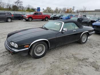  Salvage Jaguar Xjs