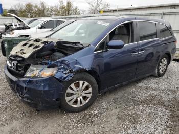  Salvage Honda Odyssey