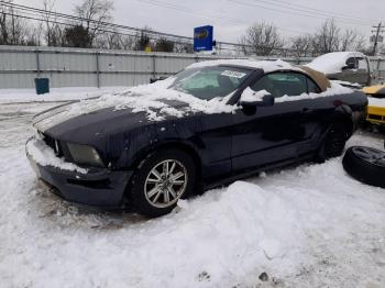  Salvage Ford Mustang