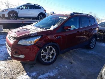  Salvage Ford Escape