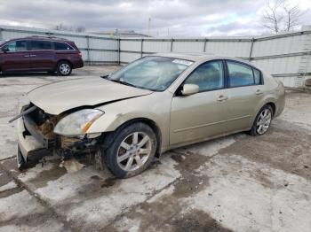  Salvage Nissan Maxima