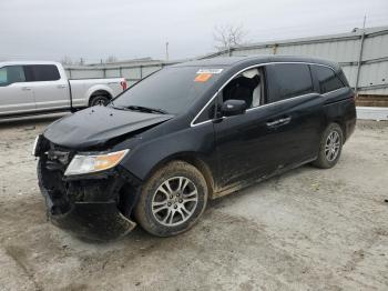  Salvage Honda Odyssey