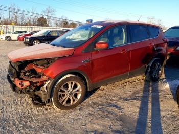  Salvage Ford Escape