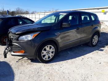  Salvage Ford Escape