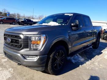  Salvage Ford F-150