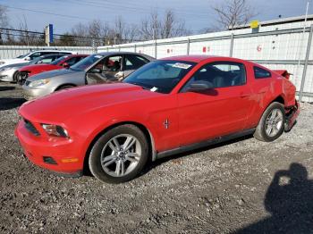  Salvage Ford Mustang