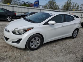  Salvage Hyundai ELANTRA