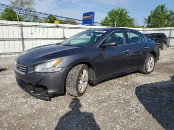  Salvage Nissan Maxima