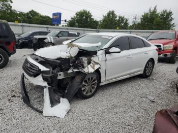  Salvage Hyundai SONATA