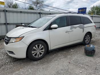  Salvage Honda Odyssey