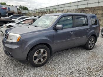  Salvage Honda Pilot
