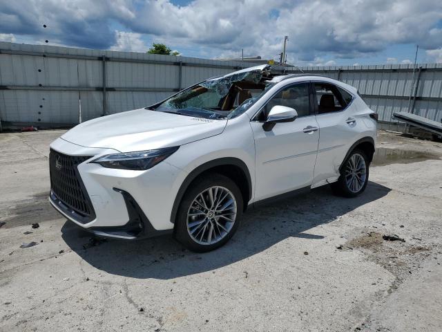  Salvage Lexus NX