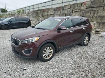  Salvage Kia Sorento