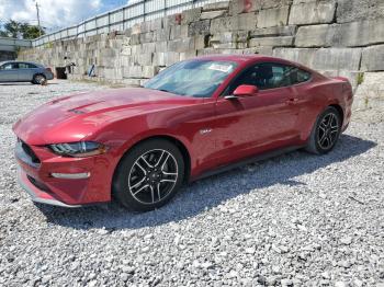  Salvage Ford Mustang