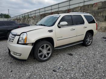  Salvage Cadillac Escalade