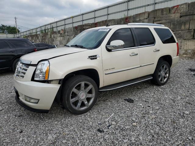  Salvage Cadillac Escalade
