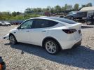 Tesla Model Y Image 2
