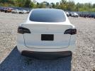 Tesla Model Y Image 12