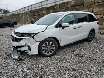  Salvage Honda Odyssey