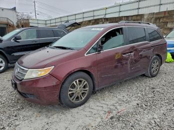  Salvage Honda Odyssey