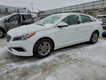  Salvage Hyundai SONATA