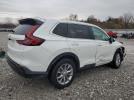 Honda Crv Exl Image 3