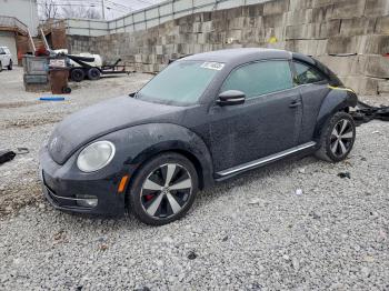  Salvage Volkswagen Beetle