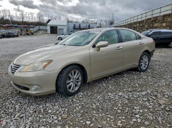  Salvage Lexus Es