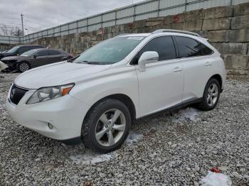  Salvage Lexus RX