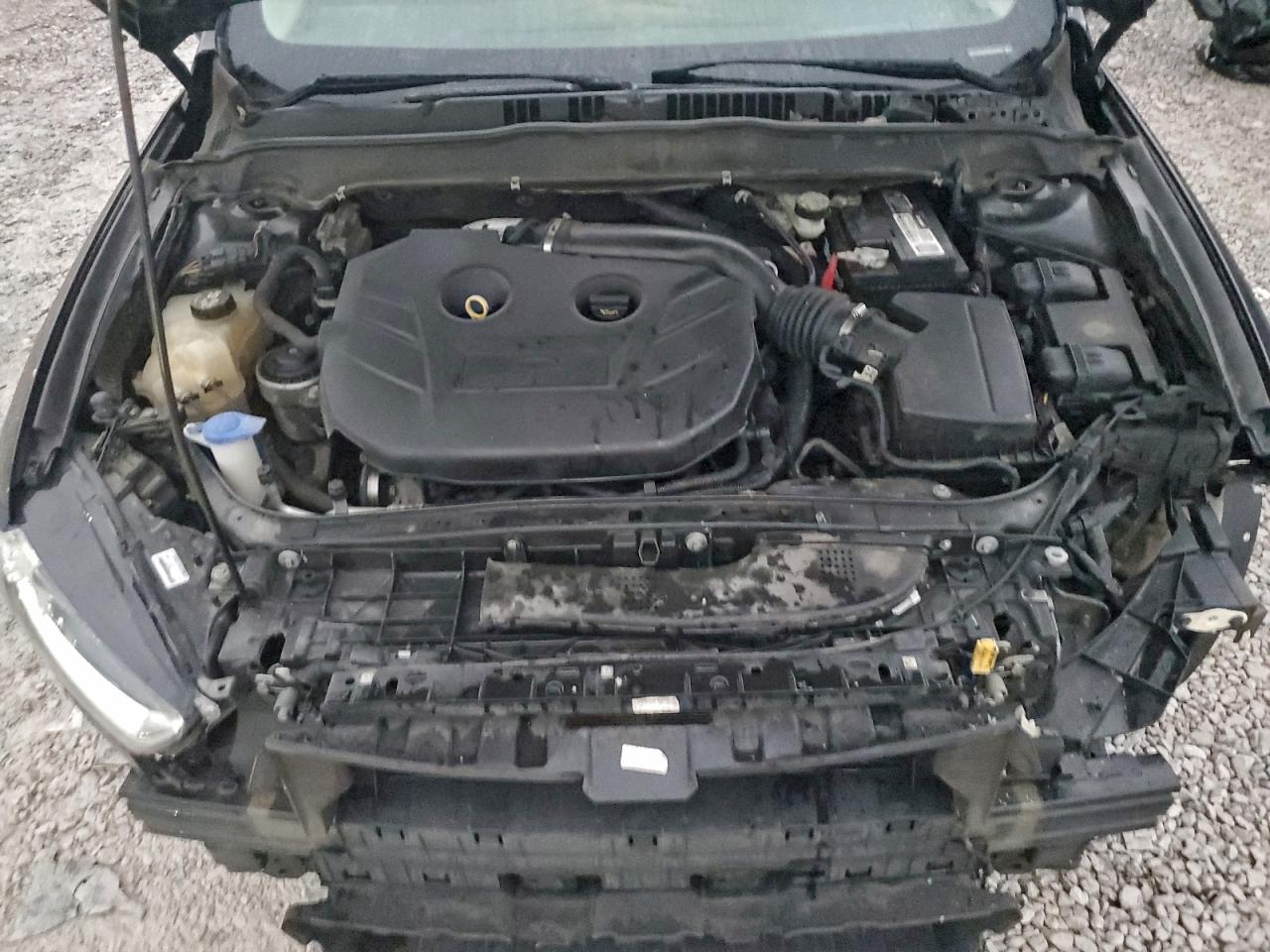 Ford Fusion Se Image 9