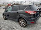 Ford Escape Sel Image 3