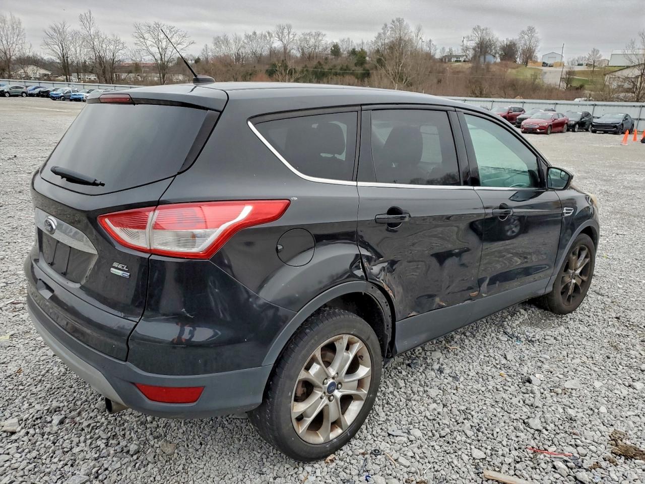Ford Escape Sel Image 4