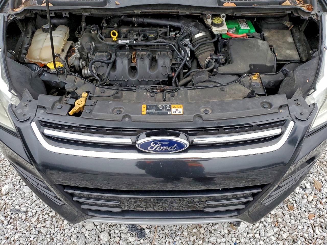 Ford Escape Sel Image 5