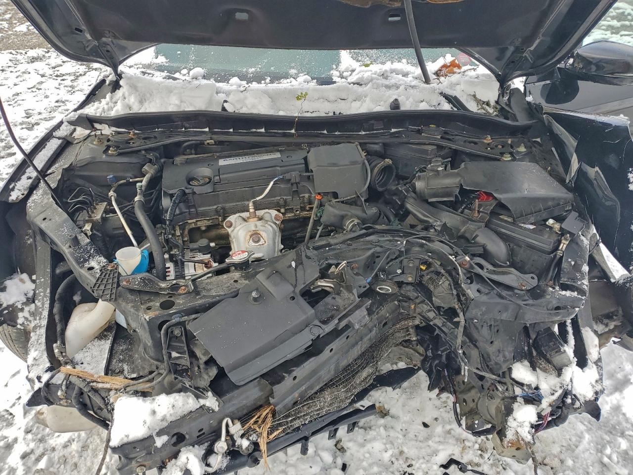 Honda Accord Touring Image 9