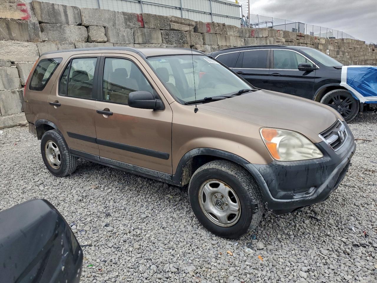 Honda Crv Lx Image 8